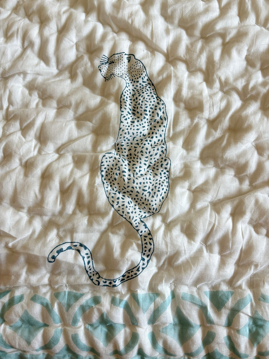 Cheeta in Aqua