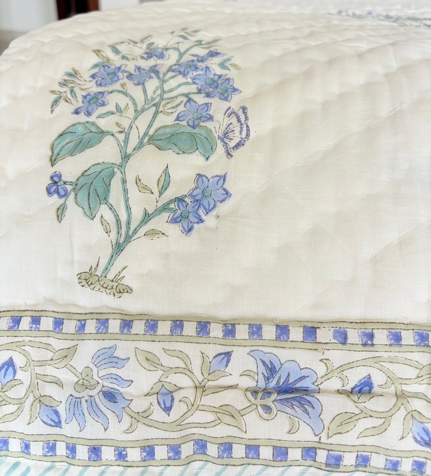 Blue Bird in the bush