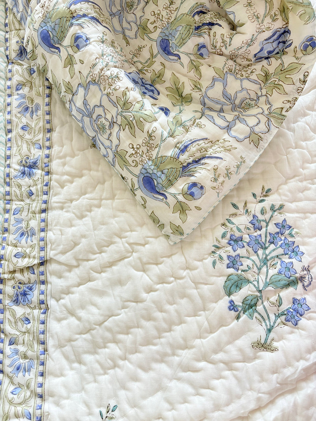 Blue Bird in the bush